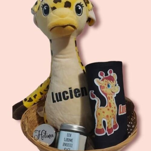 Geschenkmand geboorte