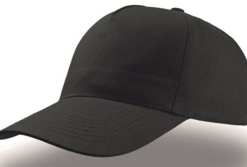 Pet volwassene verschillende kleuren