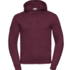 Russell Men's Autentic Hoodie