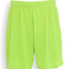 Evolution Shorts volwassene