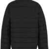 Essential Thermal Jacket RG580 – Waterafstotende Winterjas zonder Kap | Regatta Professional | Gerecycled Polyester